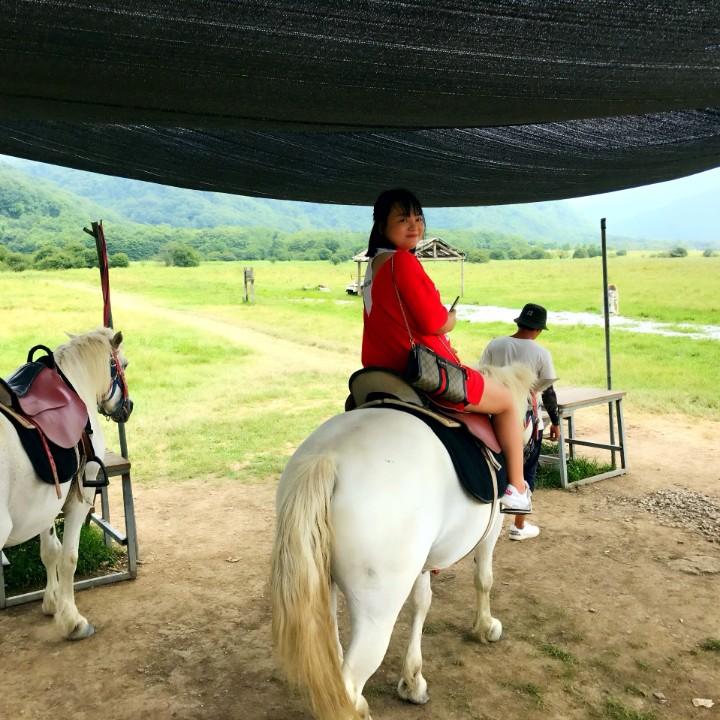 蓓蕾