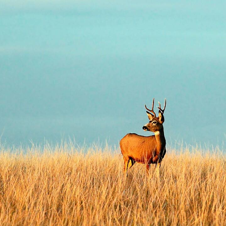 高低压成套电气售后外协（西安市）