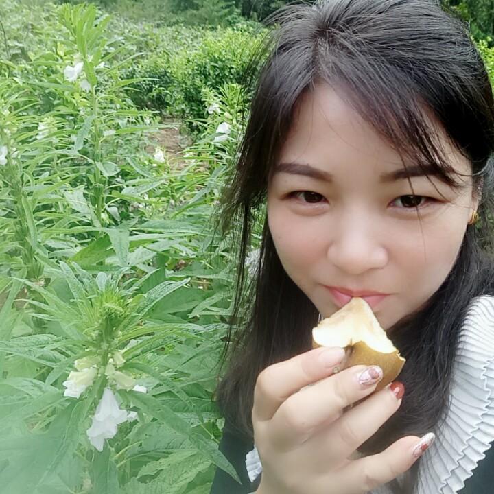 玉镯儿/🌷🌷🌷