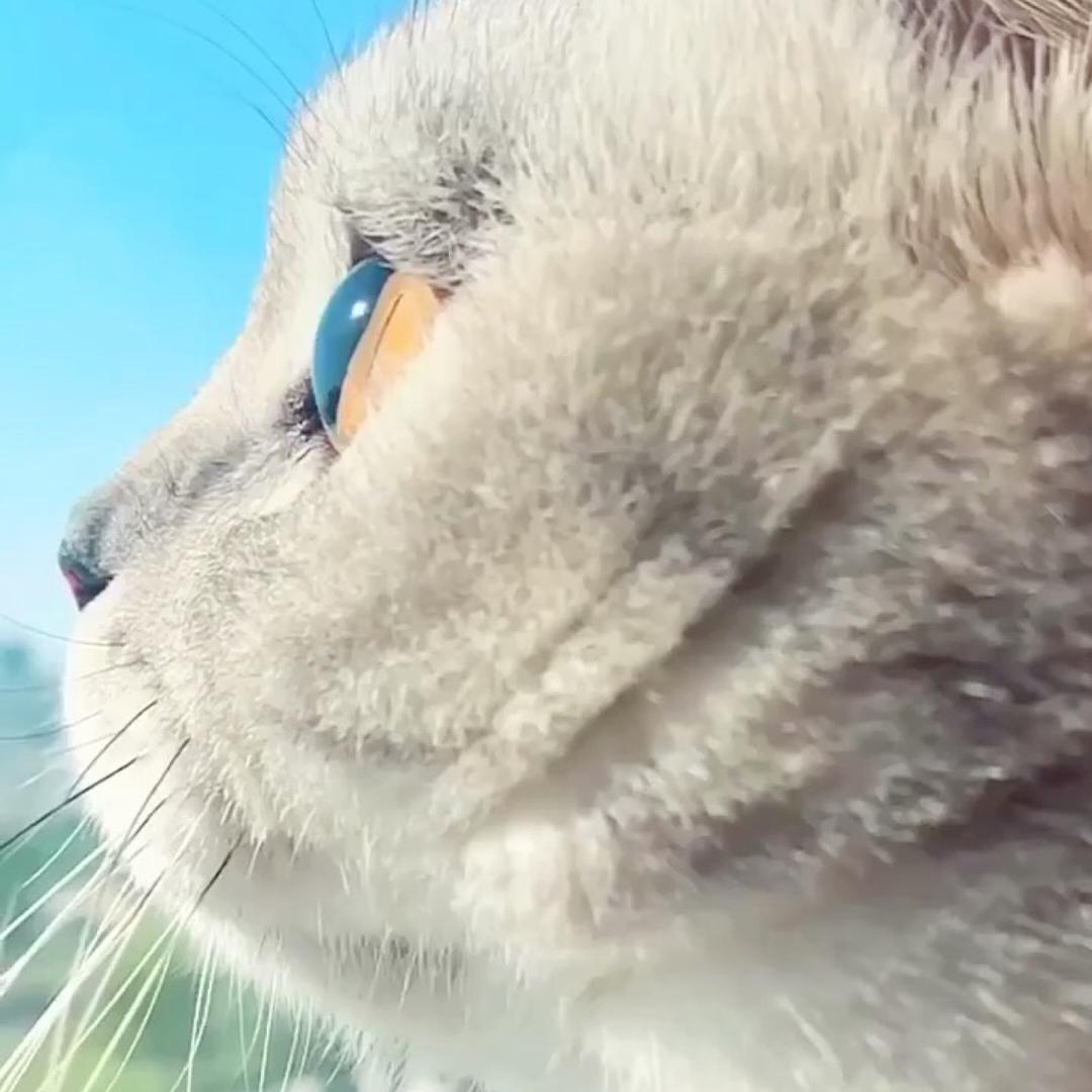 乘风破浪