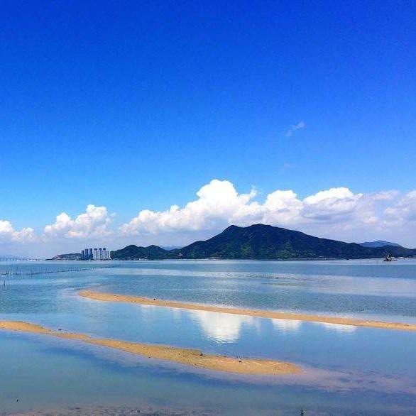 夏夏