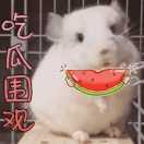 是玲珑呀1809