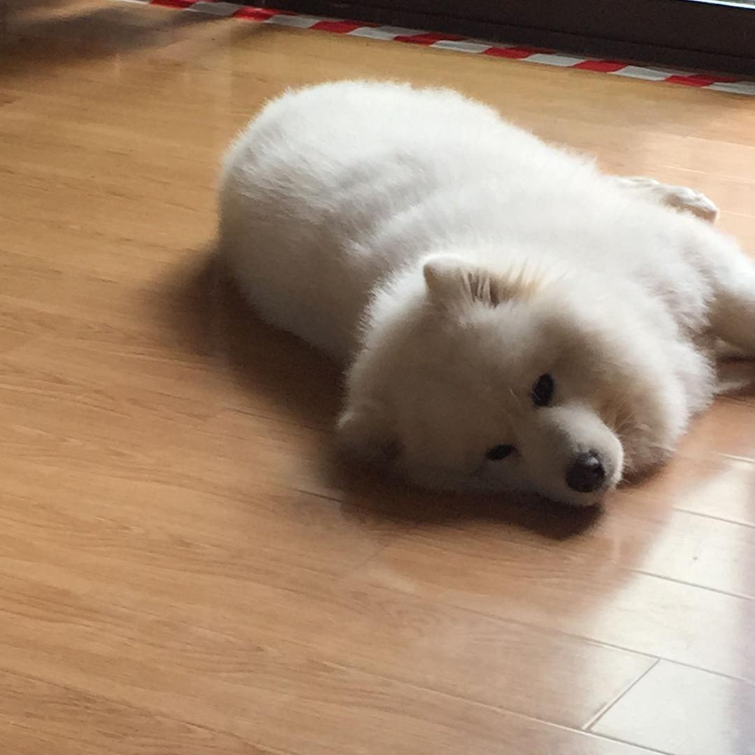 嘿，我在