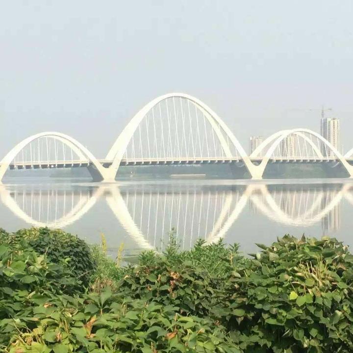 随心(づ ●─● )づ所欲