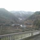 蝶恋花，花似蝶