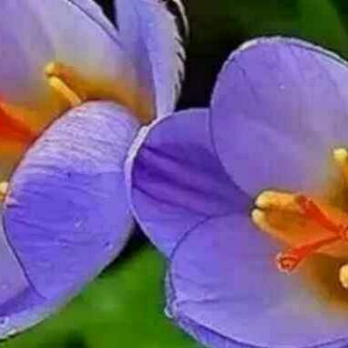 逍遥四哥，惜缘，