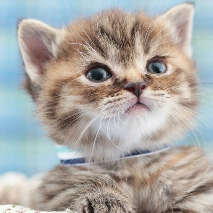 有梦想就有未来