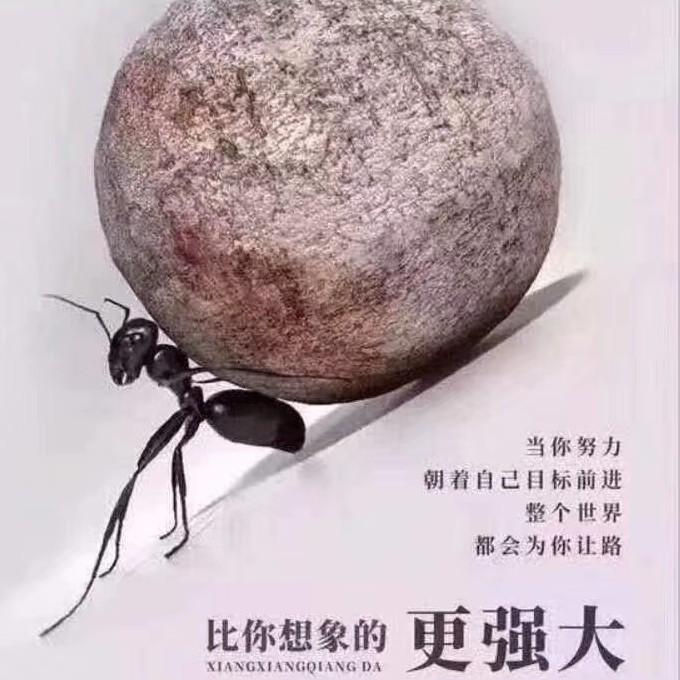章鱼🐙先生