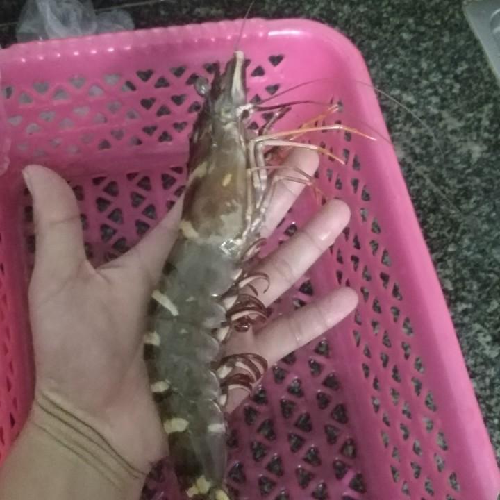 卖酱油的油腻大叔