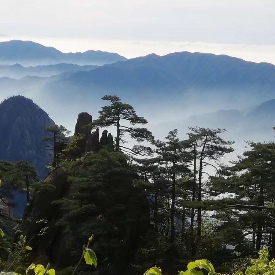 桑高林