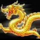 龙游天下