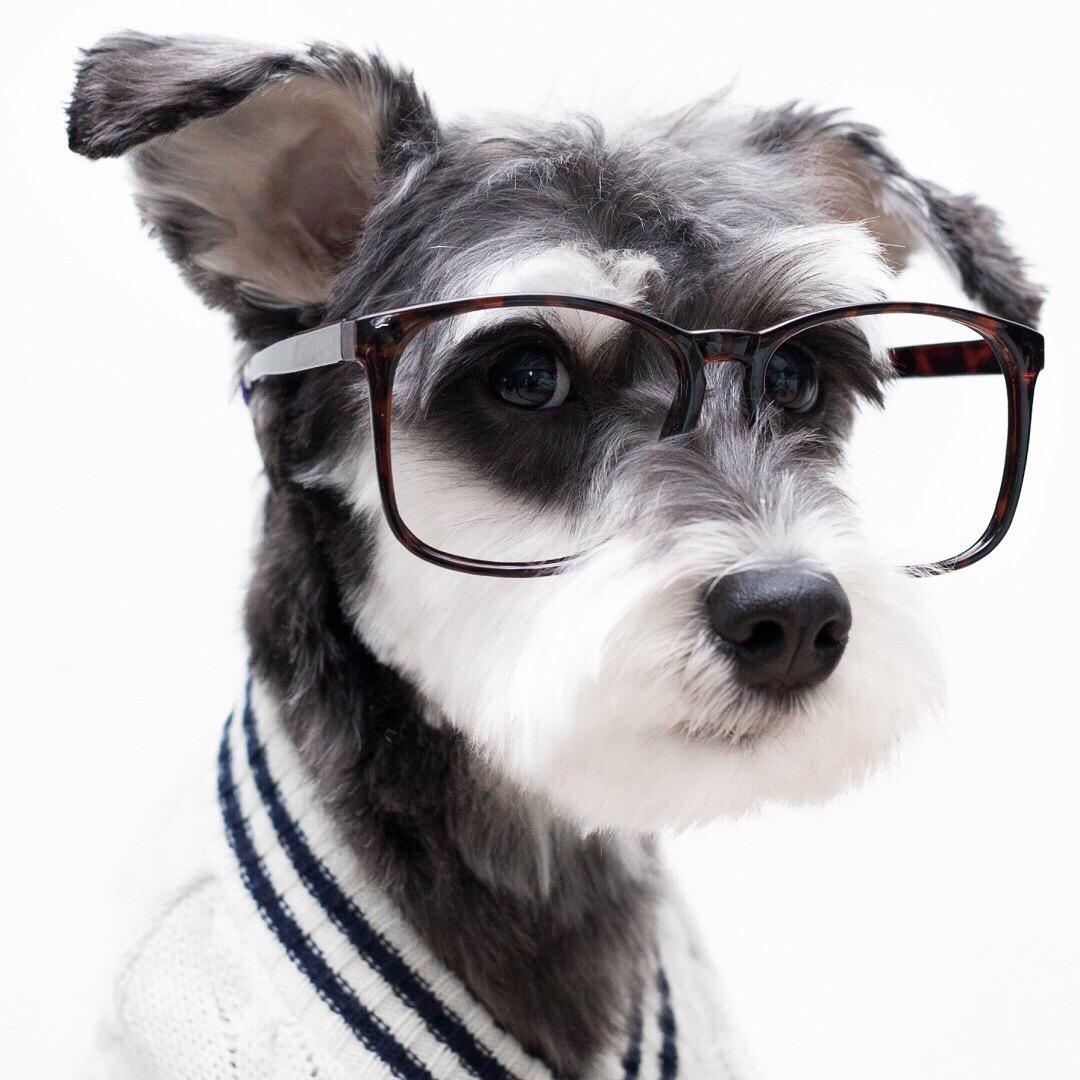 黑胡椒味黑松露