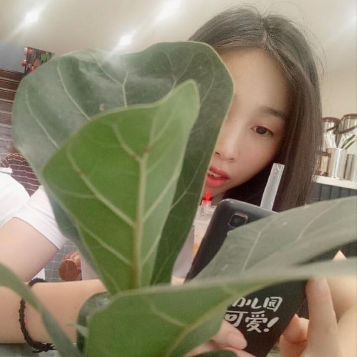 林美