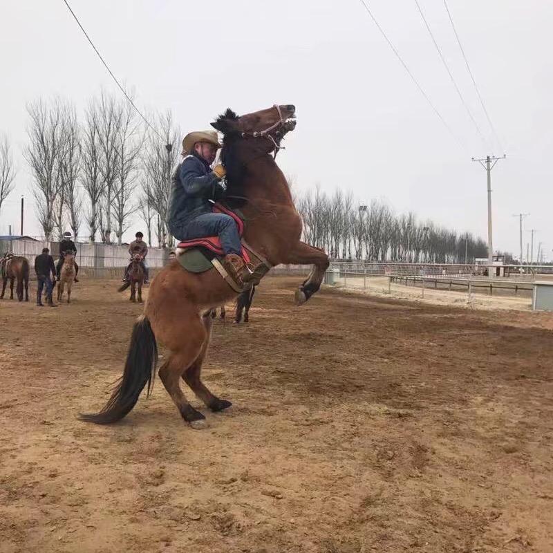 追风