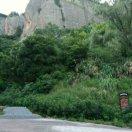 水牛大中小挖机