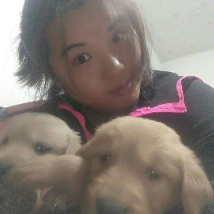 小米犬舍