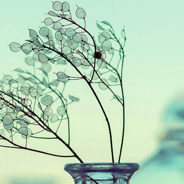 爱和自由(请务连赞)