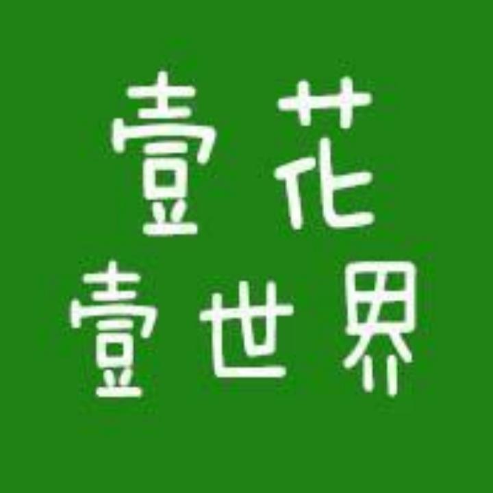 壹花壹世界
