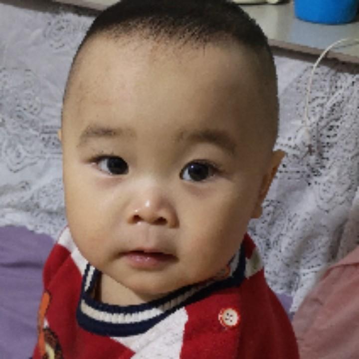 小布丁