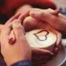 愤怒的小鸟　🚔