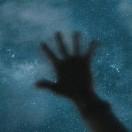 我有亿头小毛驴