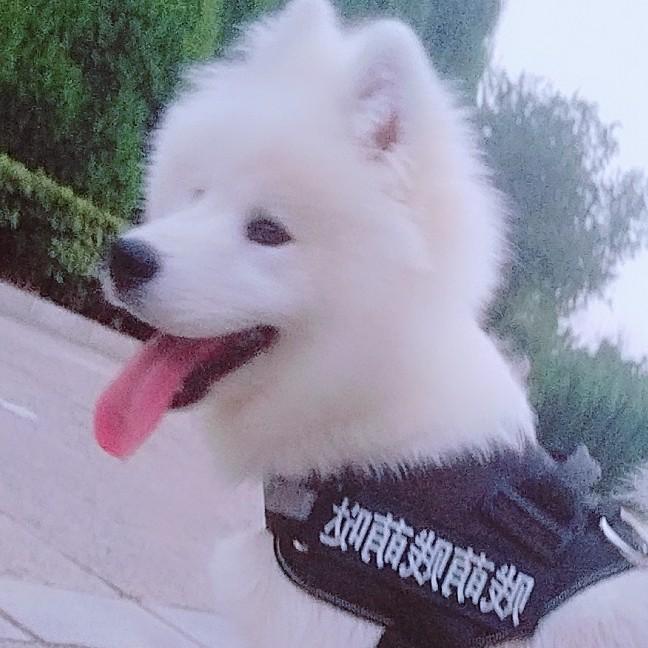 他°