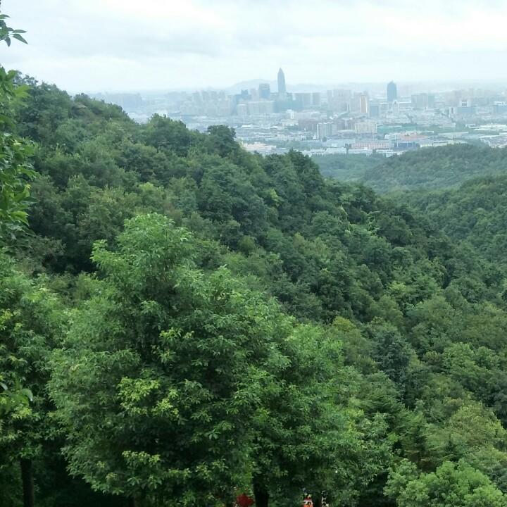 把握人生
