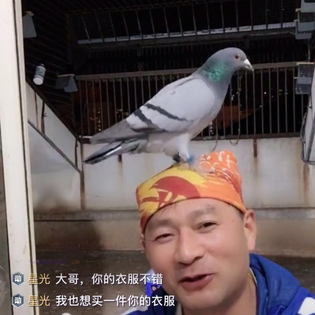永进鸽业范永进