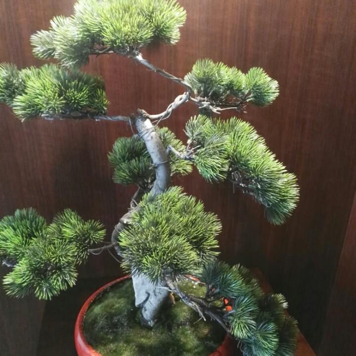 随❤️心