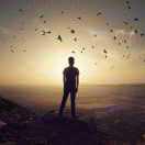 @拉烘干机的火车