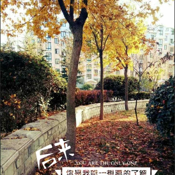 秋后的狼