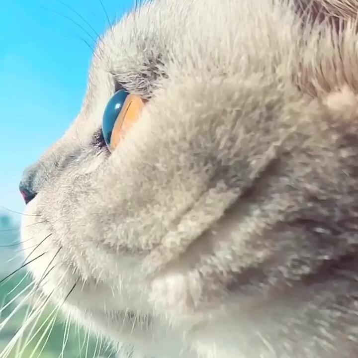 小小陈要加油