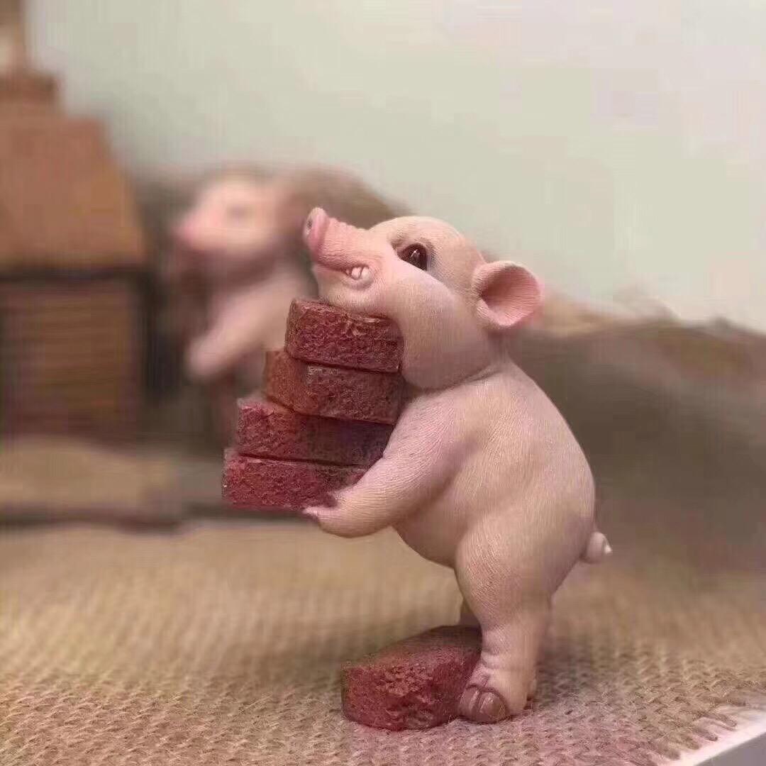 思玥h青沐