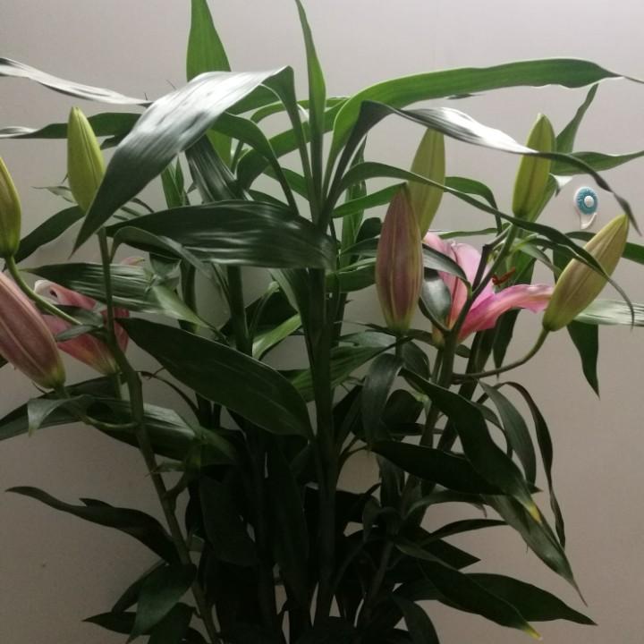 ృ༊七秒記憶♡ ༘⋆