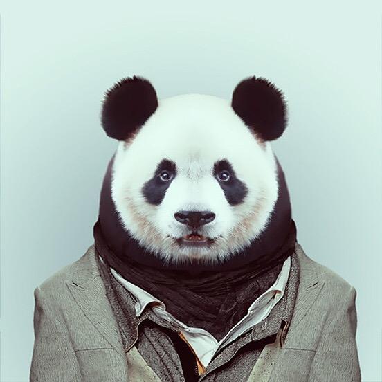 庭He 爸比