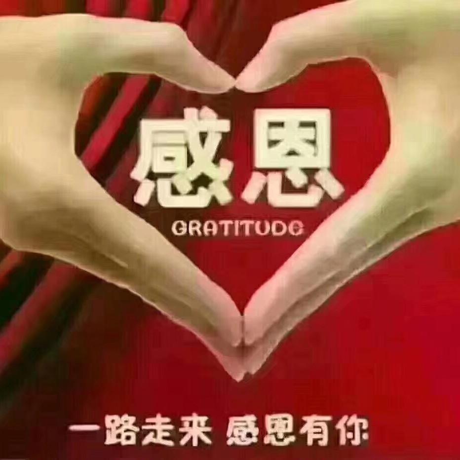 平淡是真手势舞（自娱自乐）