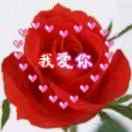 三月的太阳