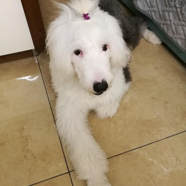 爱在权励