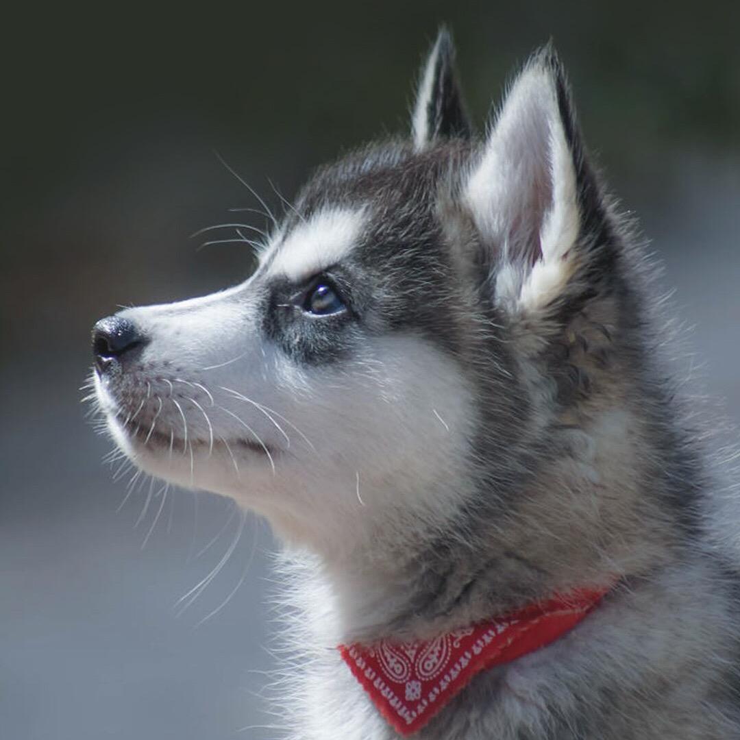 不取名字行不行