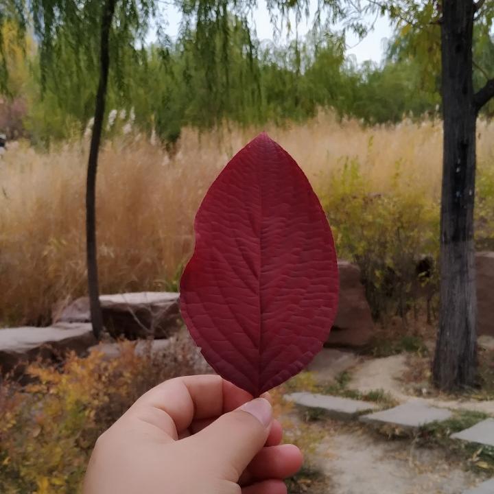 开心一刻