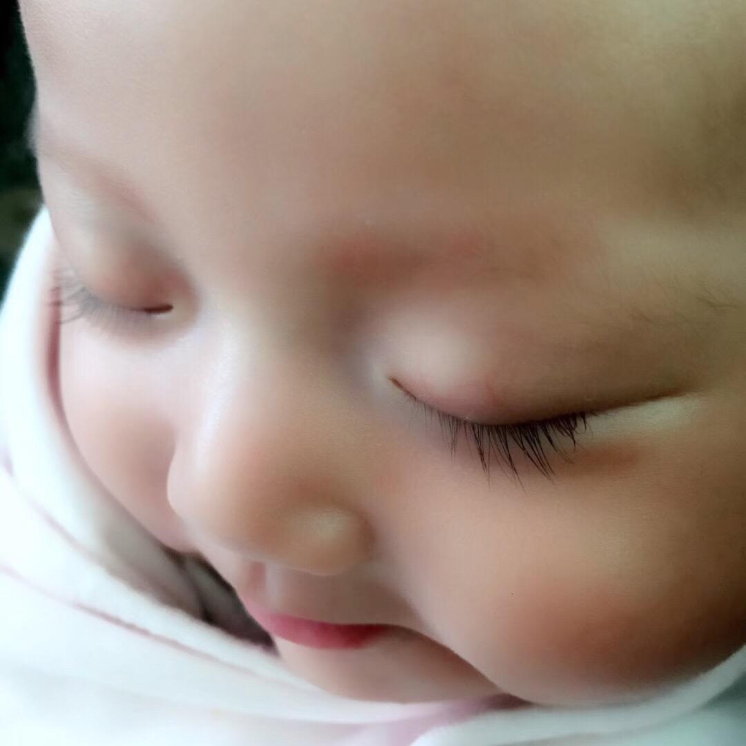 生菜.