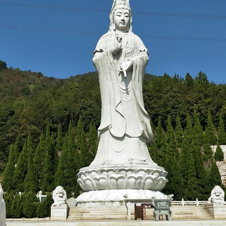 阿利