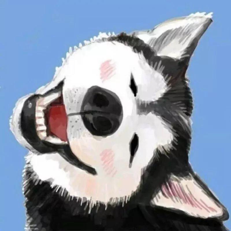 祁斯说电影@抖音