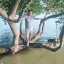 一颗星星变了心