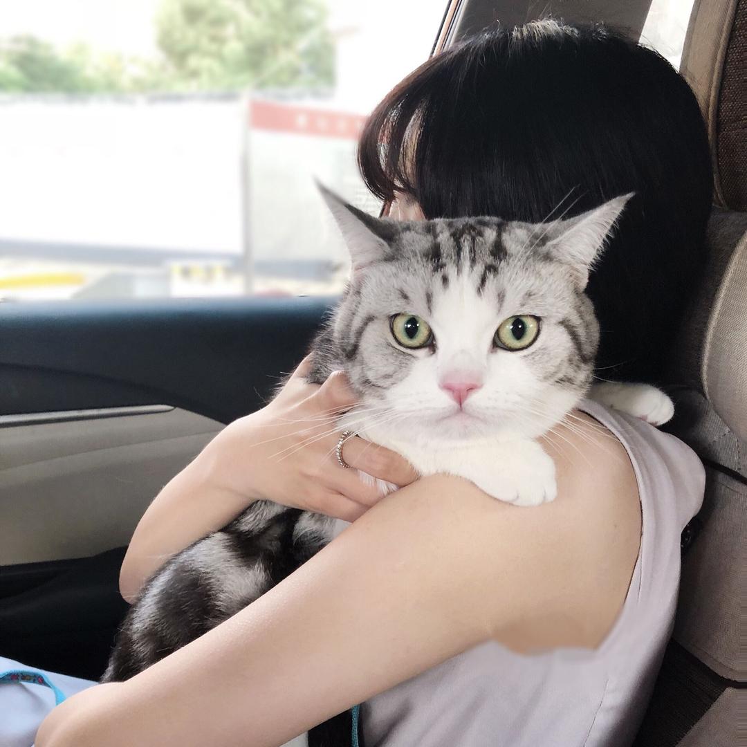 笨猫zz