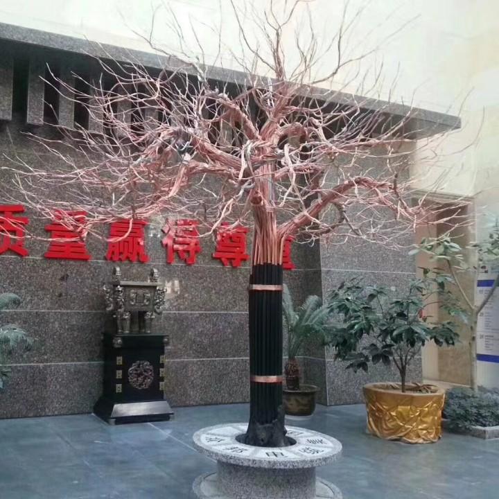 科