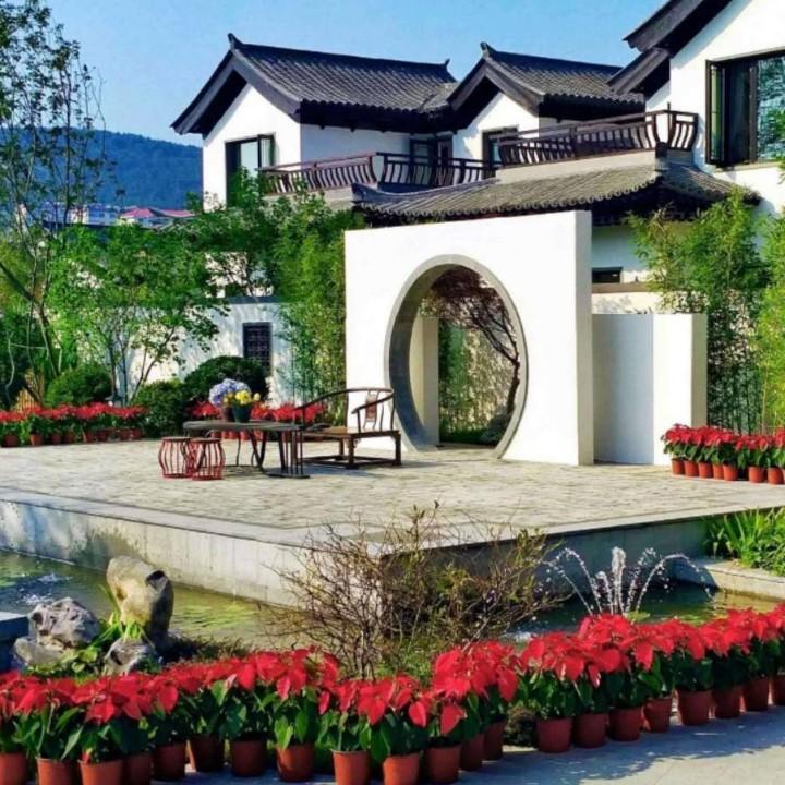 红酒杯里的血液