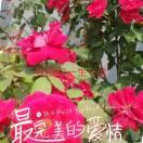 平安是福
