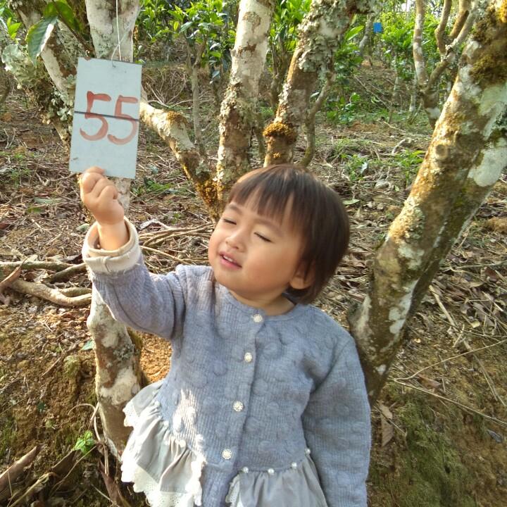 春辉号