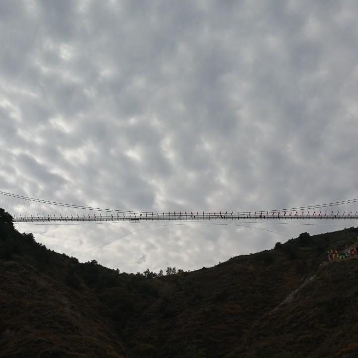 用户7852168576329